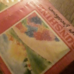 Sunshine Airfreshner