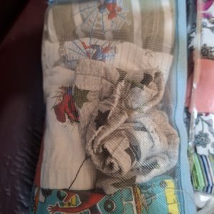 Girls  Pant- 5-6 years#underwear# in a Pack