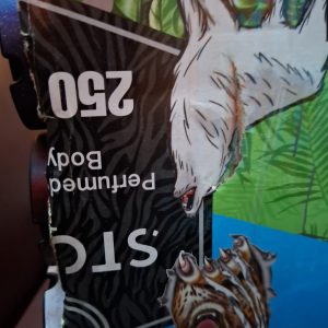 Storm Powerful, Perfumed Deodorant Body Spray- 250 Ml  in A Dozen