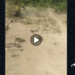 Distress Sale  Strategically good 4 plots of land directly facing New road Gbetu Suitable for Hotel, school,mall etc