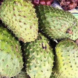 HA'RUACH🛐 HA'ELOAH 🛐 Soursop Fruit